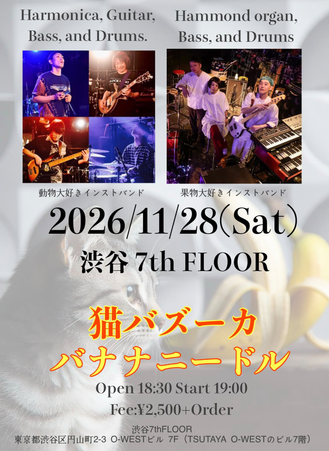 バナナニードル×猫バズーカ　2man Live
